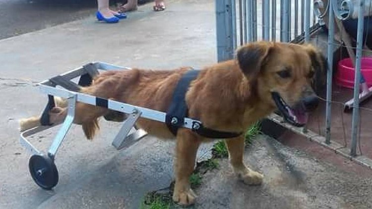 Foto: Reprodução Facebook