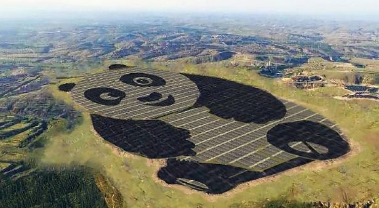 Panda gigante é a nova atração na China /PNUD/Divulgação