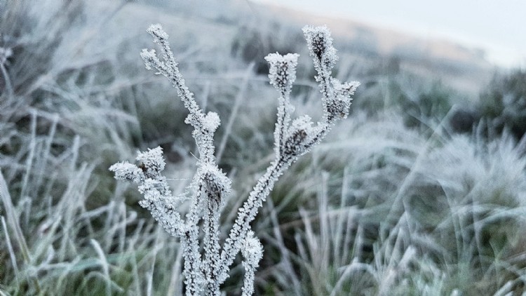 Foto: Mycchel Hudsonn Legnaghi/São Joaquim Online