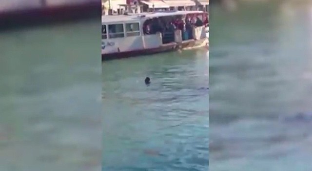 Reprodução/Youtube