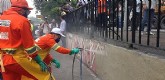 Prefeitura de São Paulo cobriu grafites da 23 de maio com tinta cinza | Rádio Bandeirantes