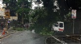 Árvore caída sobre a rua Almirante Marques Leão, na Bela Vista | Reprodução/Twitter BandNews FM